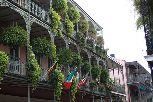 NOLA-D1-terrace-jungle